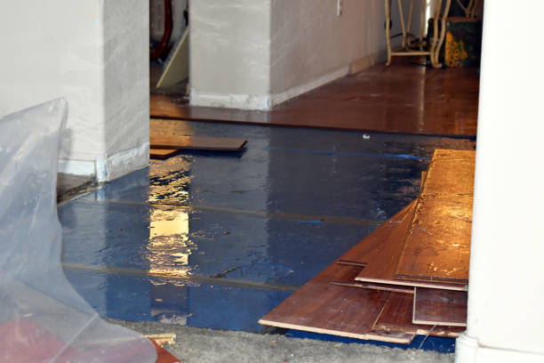 Professional Basement Flood Cleanup technician working in Leesville, LA